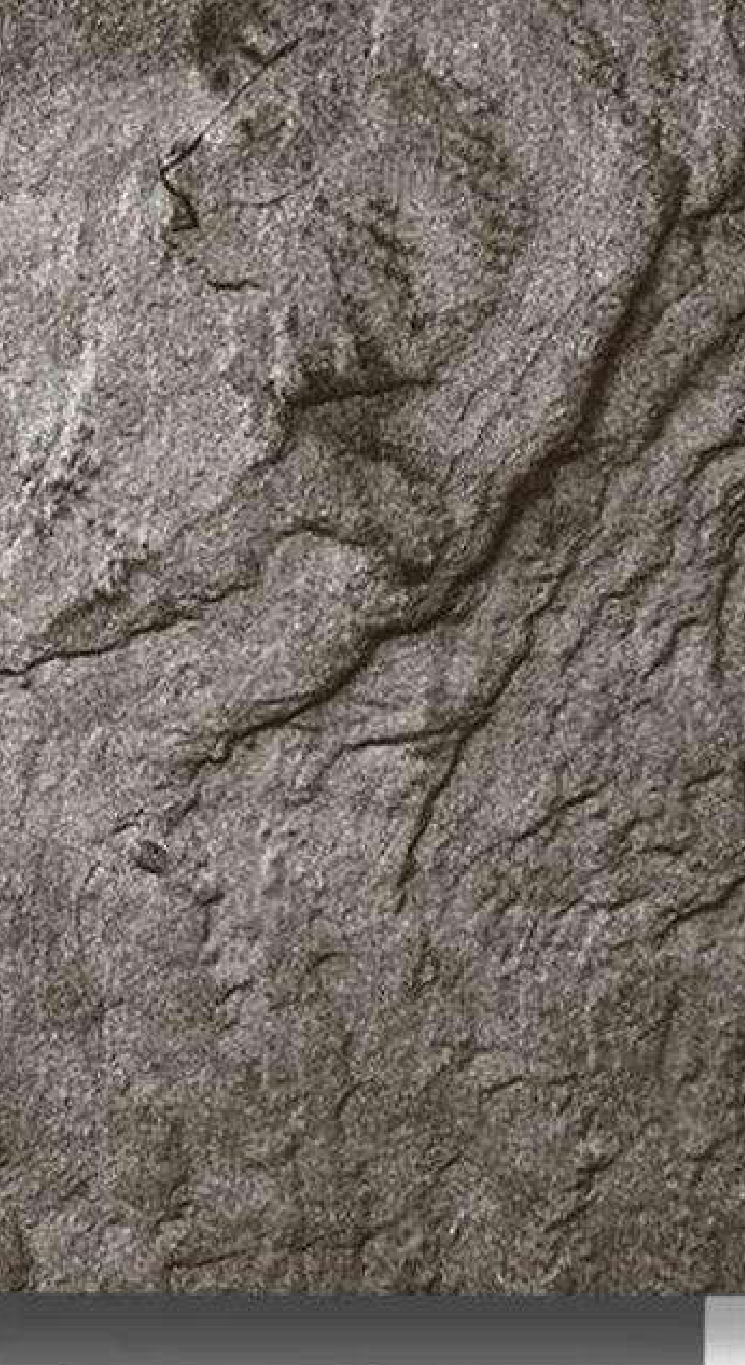 Meridian Velvet Verve Cecilia DM10 in Dark Chocolate, crumpled stone texture