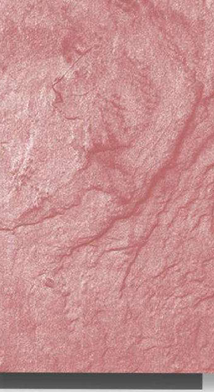 Meridian Velvet Verve Cecilia DM12 in Dusty Rose, crumpled stone texture