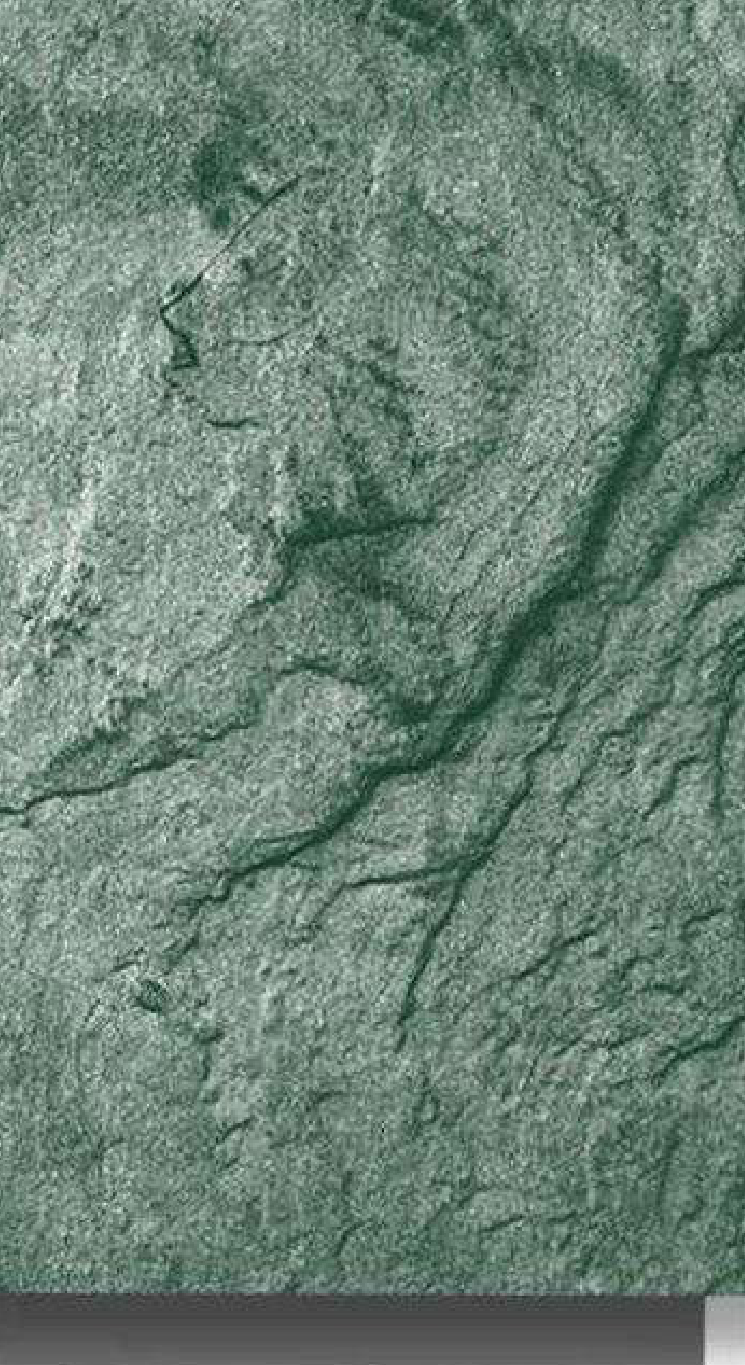 Meridian Velvet Verve Cecilia DM17 in Forest Green, crumpled stone texture