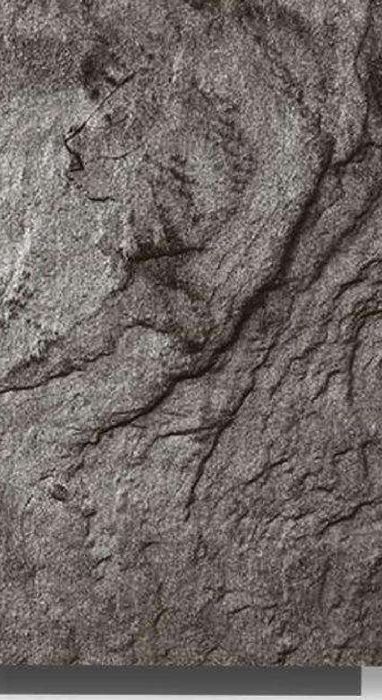 Meridian Velvet Verve Cecilia DM8 in Walnut, crumpled stone texture