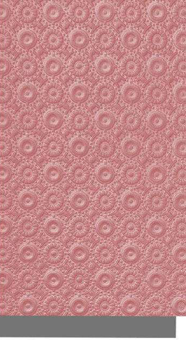 Meridian Velvet Verve Decoriss DM12 in Dusty Rose, concentric medallion dots