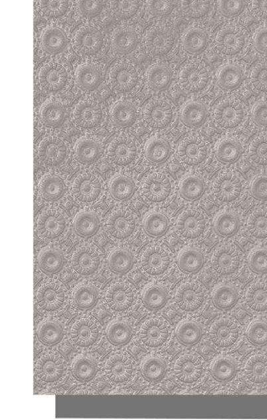Meridian Velvet Verve Decoriss DM4 in Warm Grey, concentric medallion dots