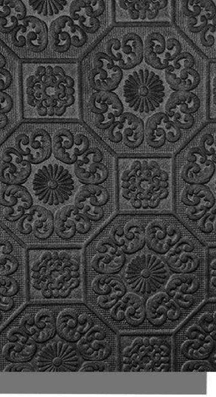 Meridian Velvet Verve Persian DM20 in Charcoal Black, ornate Persian medallion relief