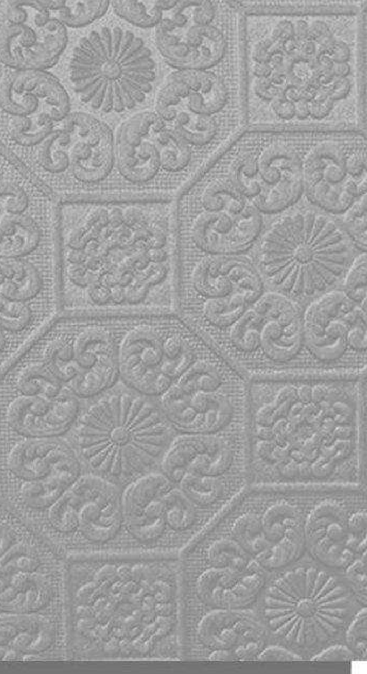 Meridian Velvet Verve Persian DM6 in Light Grey, ornate Persian medallion relief
