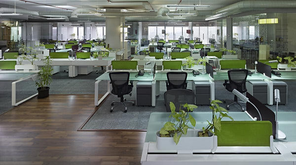 Pradeep Arc — project 8