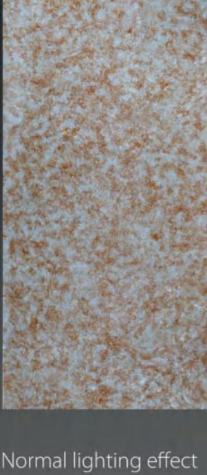 Alabaster Sheet Marble & Stone Louvers Multi Colour 8x4 Ft - Pn 03094