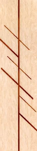 Decorative Wall Panel Wood Beige 8x2 Ft - Ed 8215