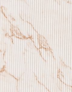 Beige Marble Charcoal Louver & Stone 8x2 Ft - Tr 9501