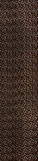 Decorative Wall Panel Designer Brown 8x2 Ft - 2A 01921