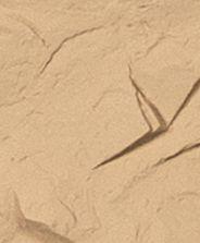 Dark Beige Buff Pu Stone Panel Marble & Louvers 9.5x2 Ft - Pn 03116 D