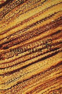 Lucento Series Patterned Decorative Wall Panel Designer Brown 4x2 Ft - 10302