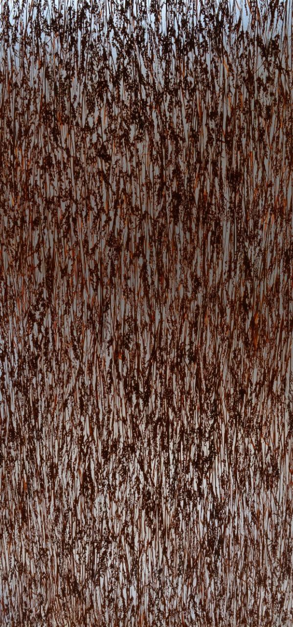 Lucento Series Patterned Decorative Wall Panel Designer Maroon 8x4 Ft - 10604