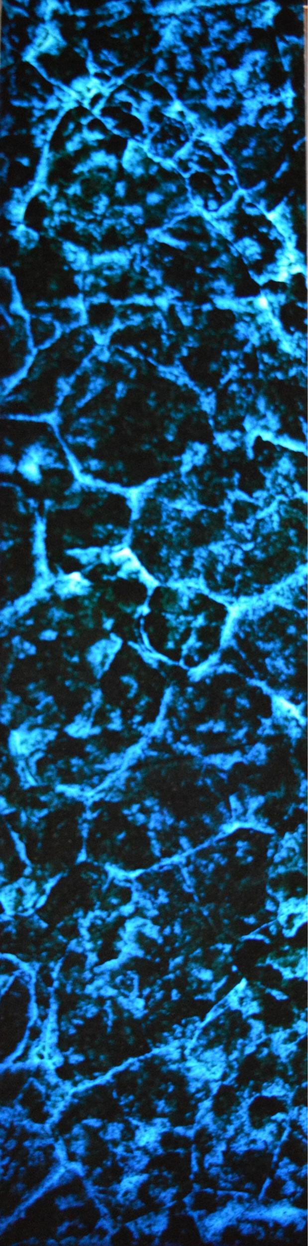 Lucento Nx Series Patterned Decorative Wall Panel Designer Blue 8x2 Ft - K45001