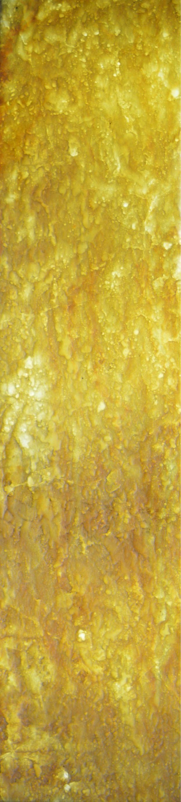 Lucento Nx Series Patterned Decorative Wall Panel Designer Gold 8x2 Ft - K45003