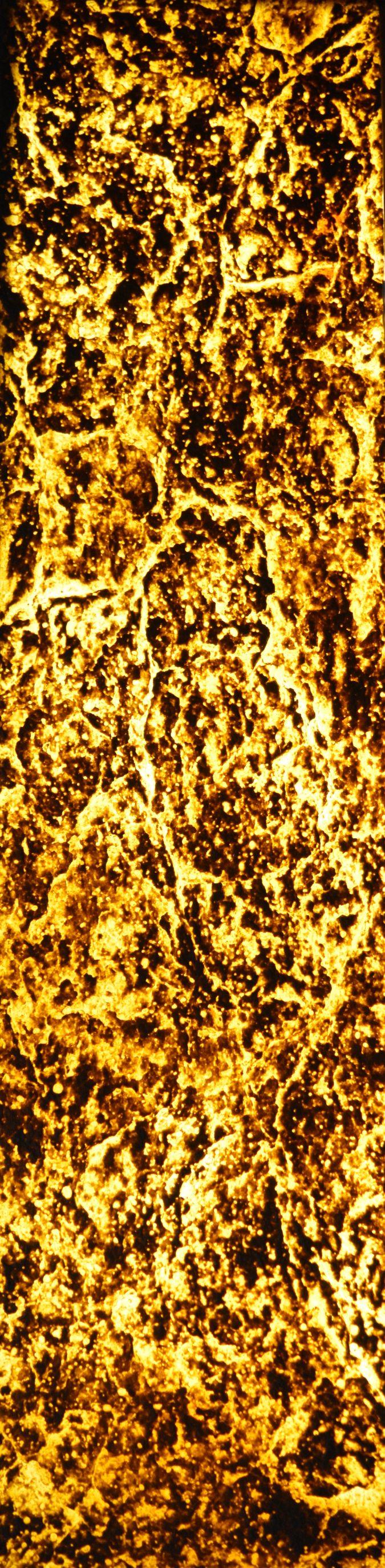 Lucento Nx Series Patterned Decorative Wall Panel Designer Gold 8x2 Ft - K45102
