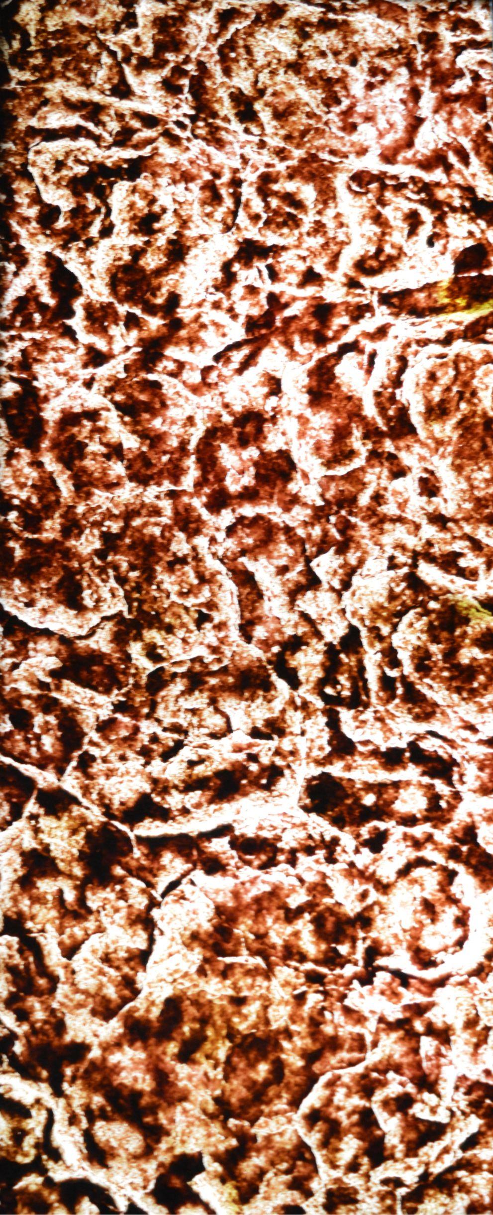 Lucento Nx Series Patterned Decorative Wall Panel Designer Brown 8x2 Ft - K45104