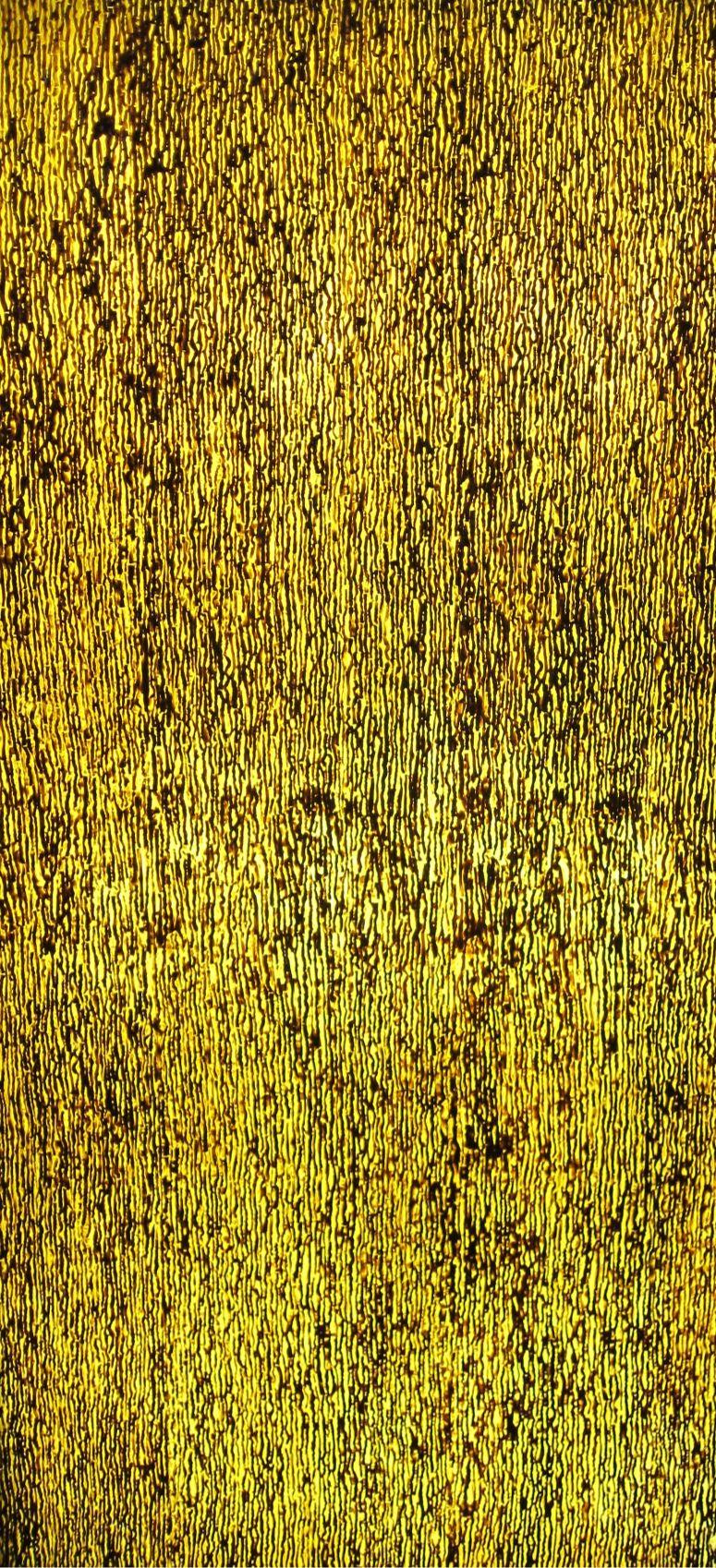 Lucento Nx Series Patterned Decorative Wall Panel Designer Gold 8x4 Ft - K45303