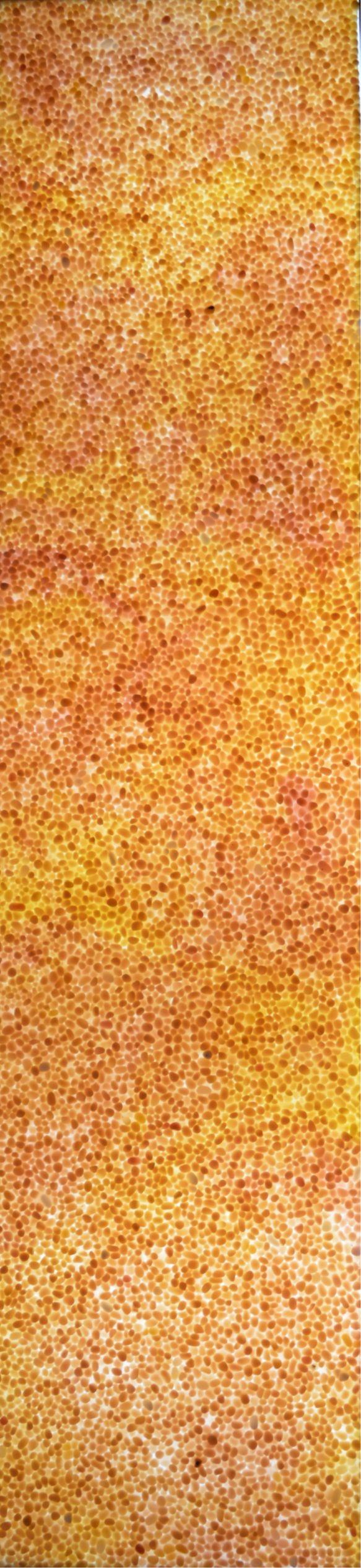 Lucento Nx Series Patterned Decorative Wall Panel Designer Gold 8x4 Ft - K45501