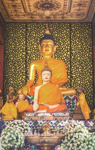 Premium PVC Charcoal Backlit Decorative Wall Panel 8x2 ft designer louvers Multi Colour PN 00820