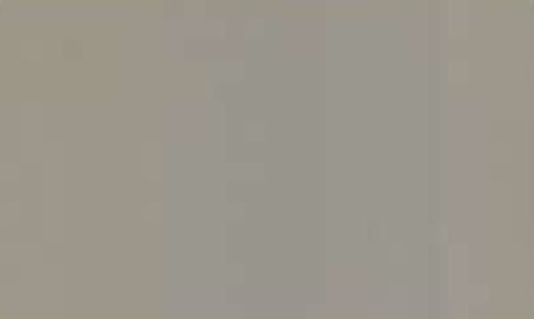 Pare Panels Pearl Louver 10x1.3 ft plain colors Grey Pearl_10