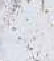 White Charcoal Louver Panel Marble & Stone 8x2 Ft - Rc 5505
