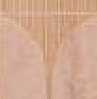 Brown Charcoal Louver Panel Designer 8x2 Ft - Rc 5513