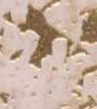 Beige Charcoal Louver Panel Marble & Stone 8x2 Ft - Rc 904