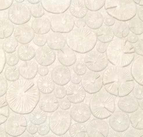 Charcoal Decorative Wall Panel Designer Cream 8x2 Ft - 1143