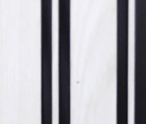 Clads Series Louvers Plain Colors White 8x0.41 Ft - 1005 Sd25